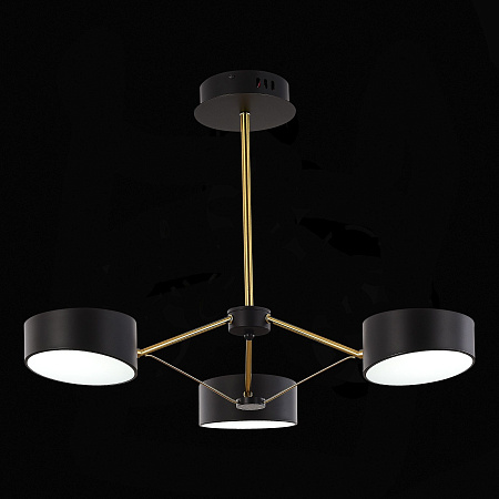 Люстра светодиодная на штанге Evoluce VALLE SLE6005-402-03