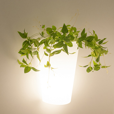 Уличный настенный светильник Mantra TEJA 6508 Уличный настенный светильник Mantra TEJA 6508