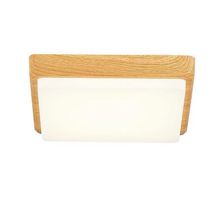 Потолочный светодиодный светильник Evoluce Taddio SLE200202-01 Потолочный светодиодный светильник Evoluce Taddio SLE200202-01