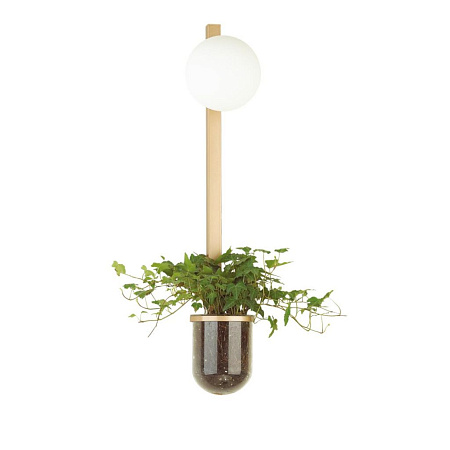 Бра Odeon Light Flower 4682/1WB