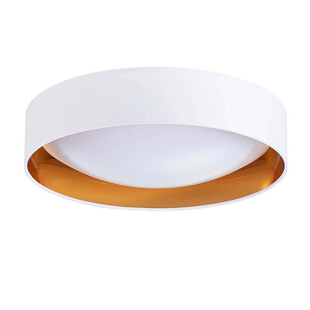 Потолочный светодиодный светильник Evoluce Orbio SLE201122-01 Потолочный светодиодный светильник Evoluce Orbio SLE201122-01