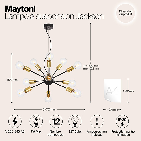 Люстра подвесная Maytoni Jackson T546PL-12B