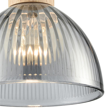 Светильник подвесной Lumion NATANA 8053/1A Светильник подвесной Lumion NATANA 8053/1A