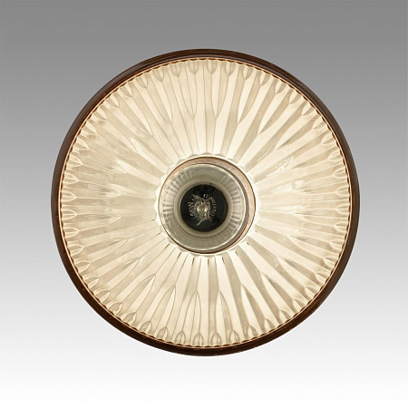 Светильник подвесной Lumion NATANA 8054/1A Светильник подвесной Lumion NATANA 8054/1A