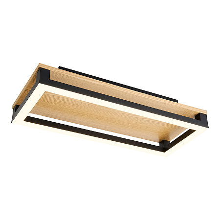 Светильник потолочный светодиодный F-Promo Firkant 4434-1C