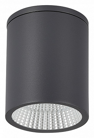 Уличный потолочный светодиодный светильник ST Luce Tubo SL9514.712.01