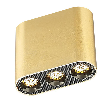 Светильник потолочный светодиодный Odeon Light SMALL 7093/8CL