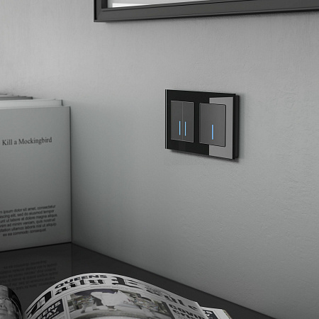 Сенсорный выключатель двухклавишный с подсветкой 1000 Вт Werkel W4520008 a057679 Сенсорный выключатель двухклавишный с подсветкой 1000 Вт Werkel W4520008 a057679