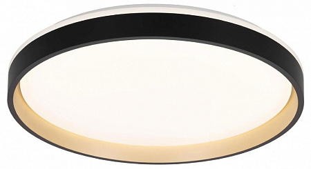 Светильник настенно-потолочный светодиодный Citilux ENZO CL753511G