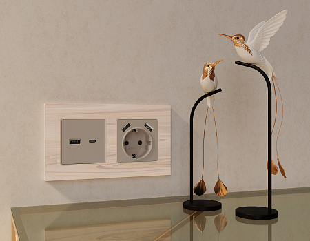 Лицевая панель для электрической розетки с/з со шторками 2USB A+A QUANT Ambrella Volt ALFA AP3690 Лицевая панель для электрической розетки с/з со шторками 2USB A+A QUANT Ambrella Volt ALFA AP3690