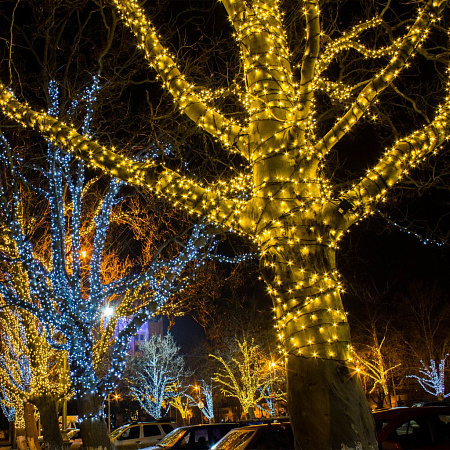 Гирлянда Eurosvet 400-102 400-102 белый 20м IP65 a044075 Гирлянда Eurosvet 400-102 400-102 белый 20м IP65 a044075