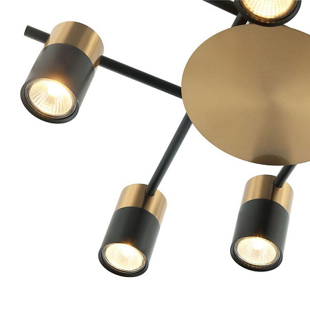 Потолочная люстра Favourite Topper 2825-8P Потолочная люстра Favourite Topper 2825-8P