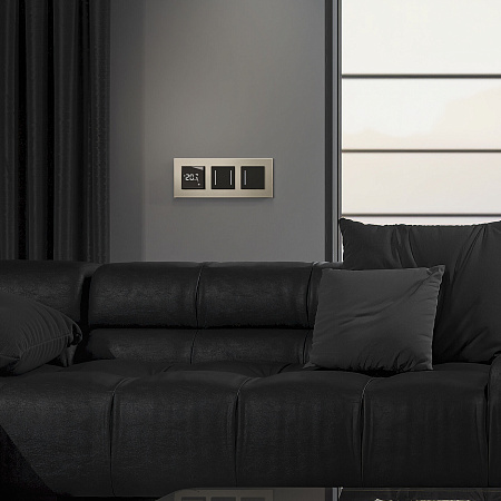 Сенсорный выключатель двухклавишный с подсветкой Werkel черный W4522008 Сенсорный выключатель двухклавишный с подсветкой Werkel черный W4522008