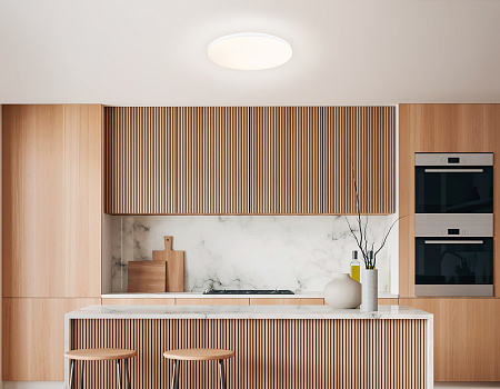 Светильник потолочный светодиодный с Wi-Fi, Яндекс Алисой, Tuya, Smart Home, Alexa Smart Ambrella light FZ2001