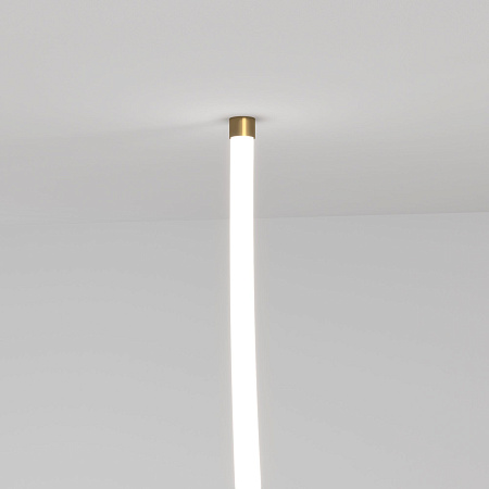 Подвесные крепления для круглого гибкого неона Elektrostandard Full light 2820 латунь a063436 Подвесные крепления для круглого гибкого неона Elektrostandard Full light 2820 латунь a063436