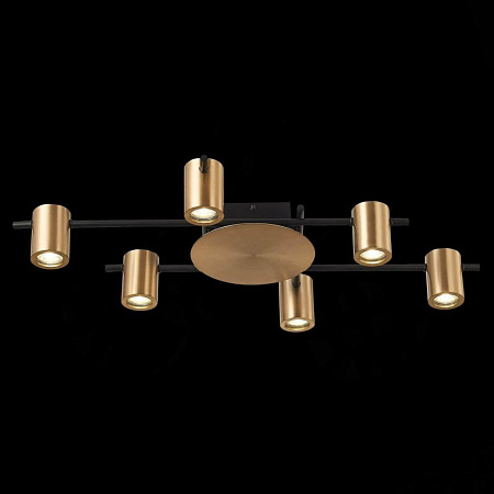 Потолочная люстра ST Luce Veroli SL1207.402.06 Потолочная люстра ST Luce Veroli SL1207.402.06