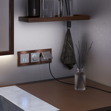 Сенсорный выключатель двухклавишный с функцией Wi-Fi Werkel a048324 a048324 Сенсорный выключатель двухклавишный с функцией Wi-Fi Werkel a048324 a048324