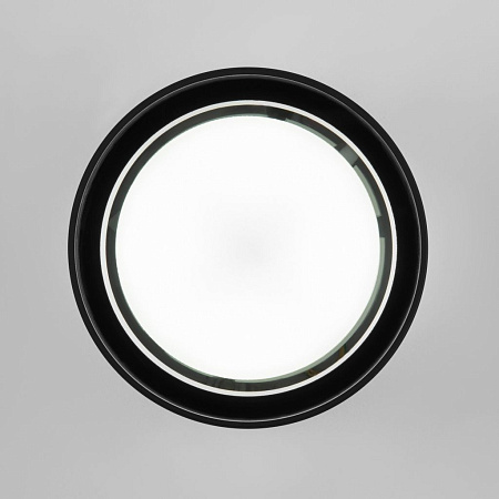 Уличный потолочный светильник Elektrostandard Light 35144/H a057868