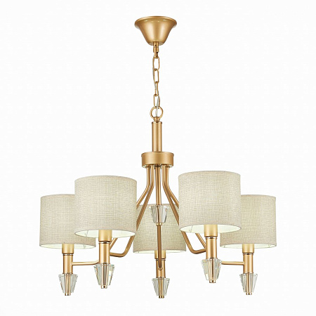 Подвесная люстра Evoluce Vilede SLE107003-05 Подвесная люстра Evoluce Vilede SLE107003-05