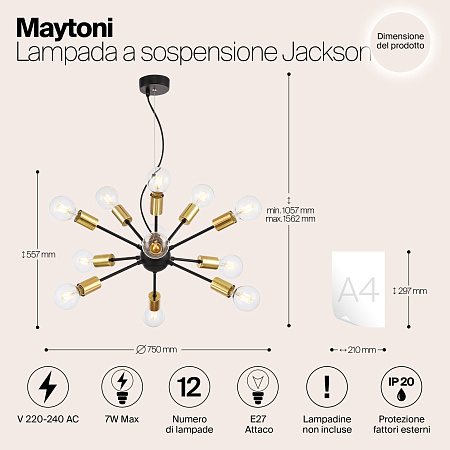 Люстра подвесная Maytoni Jackson T546PL-12B