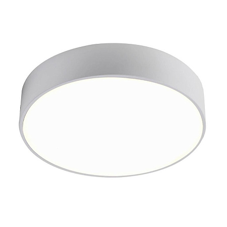 Потолочный светодиодный светильник Favourite Flashled 2065-24C Потолочный светодиодный светильник Favourite Flashled 2065-24C