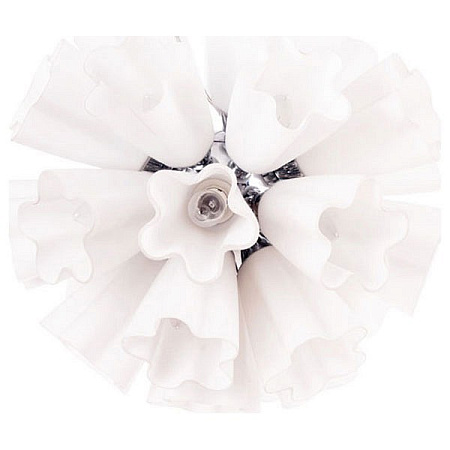 Светильник потолочный Arte Lamp Canzone A3469SP-25CC