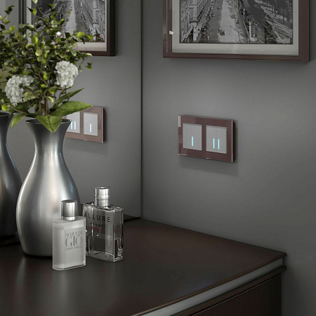 Сенсорный выключатель двухклавишный с подсветкой 1000 Вт Werkel W4520006 a057681