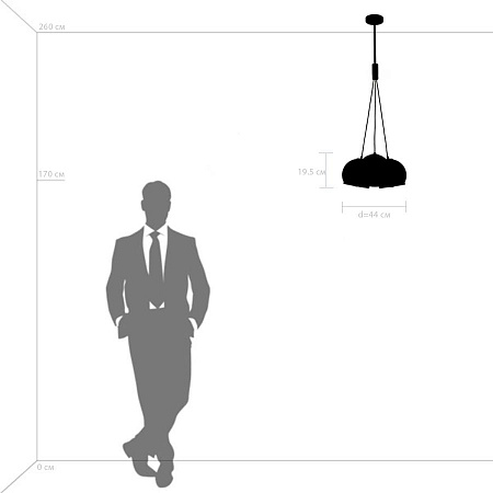 Подвесная люстра Lightstar Sferico 729031 Подвесная люстра Lightstar Sferico 729031