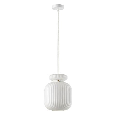 Светильник подвесной Odeon Light JUGI 5042/1C