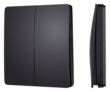 Выключатель беспроводной двухклавишный Arlight INTELLIGENT 048257 Выключатель беспроводной двухклавишный Arlight INTELLIGENT 048257