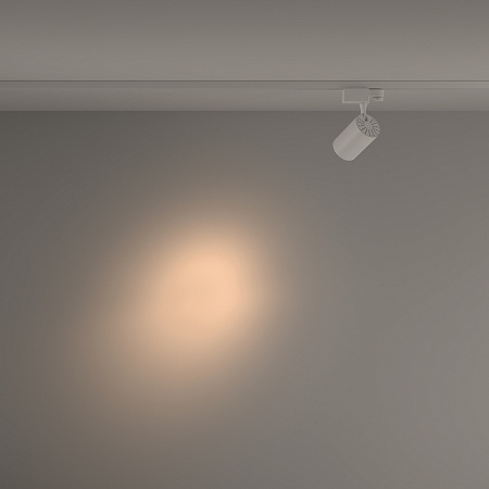 Трековый магнитный трехфазный светодиодный светильник Maytoni Trinity Vuoro TR029-3-10W3K-S-W Трековый магнитный трехфазный светодиодный светильник Maytoni Trinity Vuoro TR029-3-10W3K-S-W