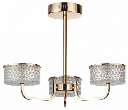 Люстра на штанге светодиодная Lumion Venice 6579/40CL