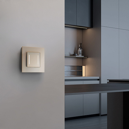 Сенсорный выключатель двухклавишный с подсветкой Werkel шампань W4522011 Сенсорный выключатель двухклавишный с подсветкой Werkel шампань W4522011