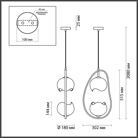 Подвесной светильник Odeon Light Waterlily 4873/2 Подвесной светильник Odeon Light Waterlily 4873/2