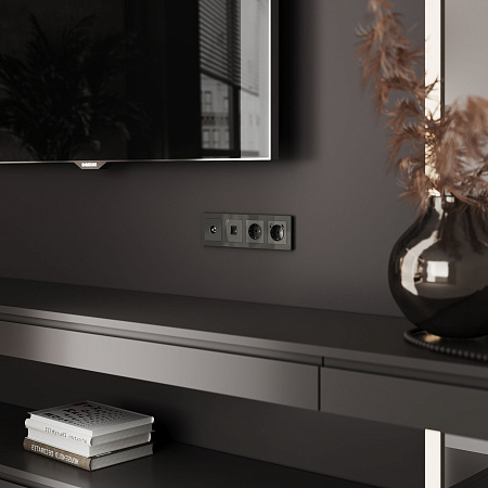 ТВ-розетка оконечная Werkel графит W1183044