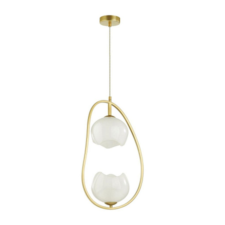 Подвесной светильник Odeon Light Waterlily 4873/2 Подвесной светильник Odeon Light Waterlily 4873/2