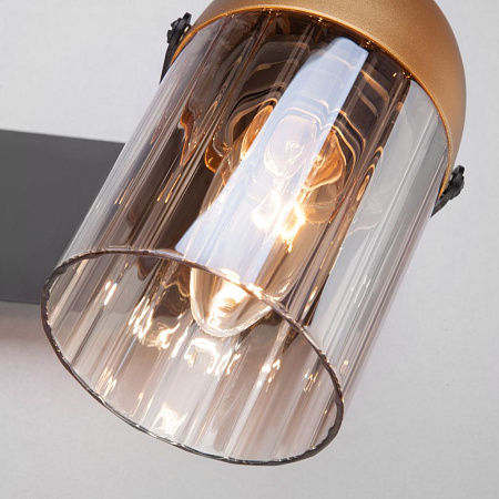 Спот Eurosvet Mars 20122/2 черный/золото a045909 Спот Eurosvet Mars 20122/2 черный/золото a045909