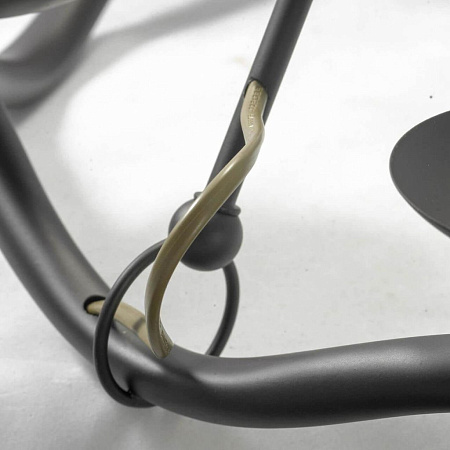 Потолочная люстра Lussole Lgo LSP-0212 Потолочная люстра Lussole Lgo LSP-0212