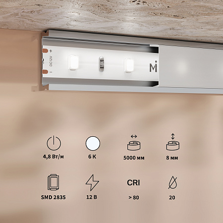 Светодиодная лента 4,8Вт/м 6000K IP20 12V Maytoni Base 201164 Светодиодная лента 4,8Вт/м 6000K IP20 12V Maytoni Base 201164