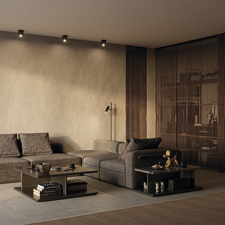 Потолочный светильник Maytoni Alfa C017CL-01B Потолочный светильник Maytoni Alfa C017CL-01B