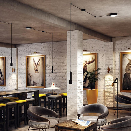 Потолочный светильник Odeon Light Fortu 4253/23CL Потолочный светильник Odeon Light Fortu 4253/23CL