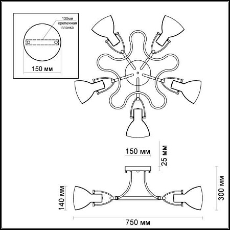 Потолочная люстра Odeon Light Credo 3952/5C