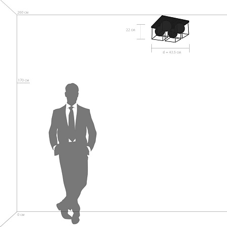 Потолочная люстра Lightstar Gabbia 732147 Потолочная люстра Lightstar Gabbia 732147