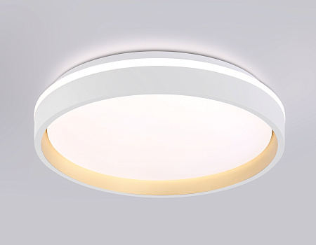 Светильник потолочный светодиодный Ambrella light FZ601