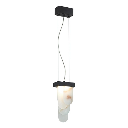 Светильник подвесной светодиодный Odeon Light FOROS 5438/12L