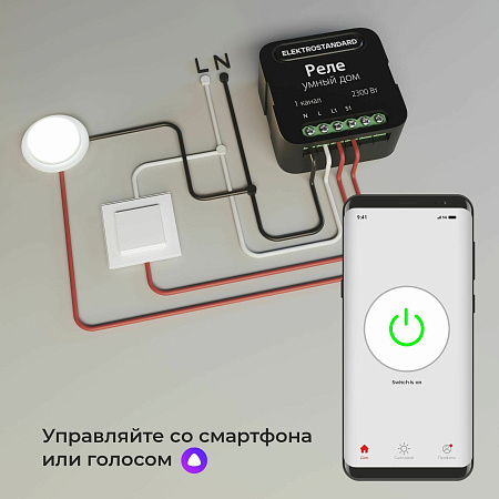 Умное одноканальное реле Elektrostandard 76006/00 a059324