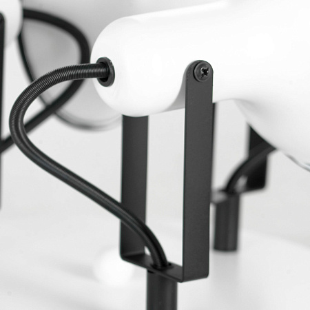 Спот Lussole FARGO LSP-8803 Спот Lussole FARGO LSP-8803